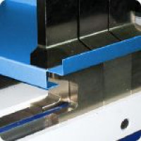 Сегментні листозгини (7)