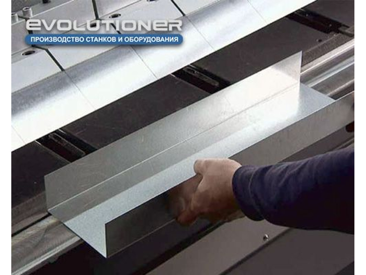 Класифікація сучасних листозгинів